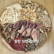 김은정 46보익합 생맥 만성피로 방광염 비염