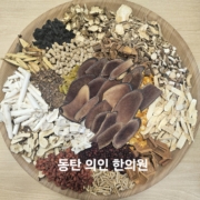 유춘호 85 십전대봐감 식욕증진 40키로, 심장