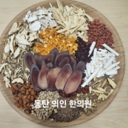 윤은진 14 귀룡탕 원보 비위기능강화