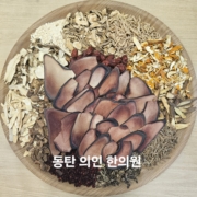 안광석 39 기관지 분골 2배방