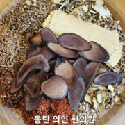 여중희 보양환오탕