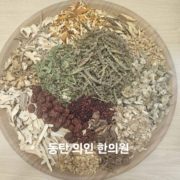 신요환 15 보익춘방 1차 만성비염 과민장 성장