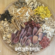 전금순 원보갱년기 자음강화