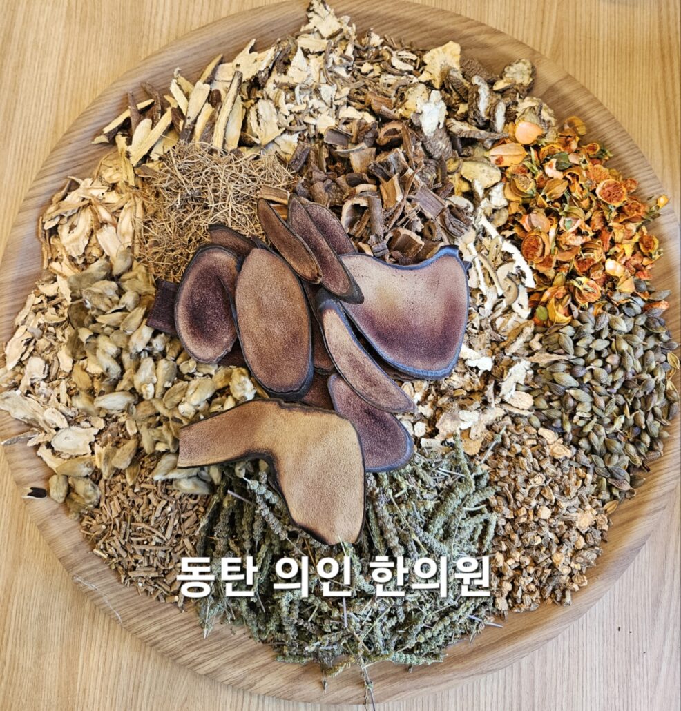 만성비염의 명방-형개연교탕 이야기